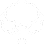 icon of a tree